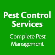 Pest Control Berkshire
