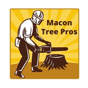 Macon Tree Pro Service