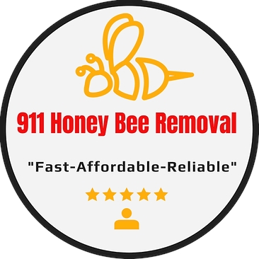 Professional Bee Removal Service From The Woodlands Texas