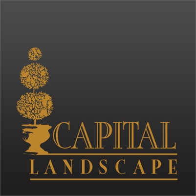 Capital Landscape