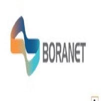 Boranet
