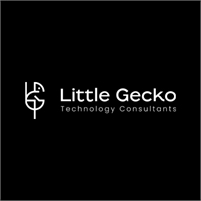 Little Gecko Technology Little Gecko  Technology