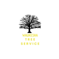 Waukesha Tree Service Waukesha  Tree Service